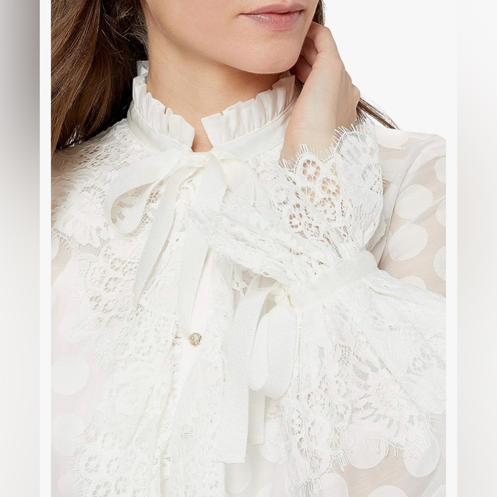 Keepsake Sheer Ruffle Blouse - Picture 2 of 15